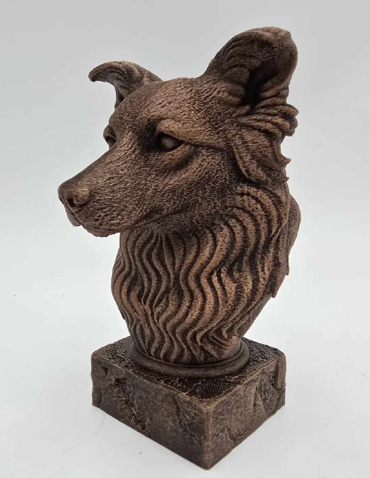 Canine Bust